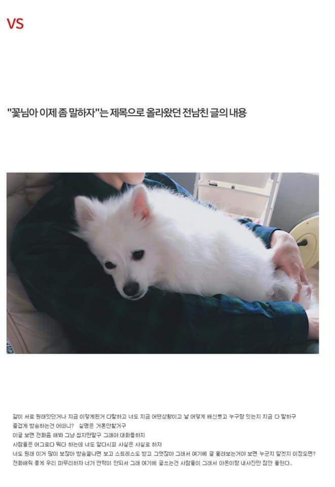 페북이랑 안방갤에 난리난 아프리카 BJ 꽃님 진실 | 인스티즈