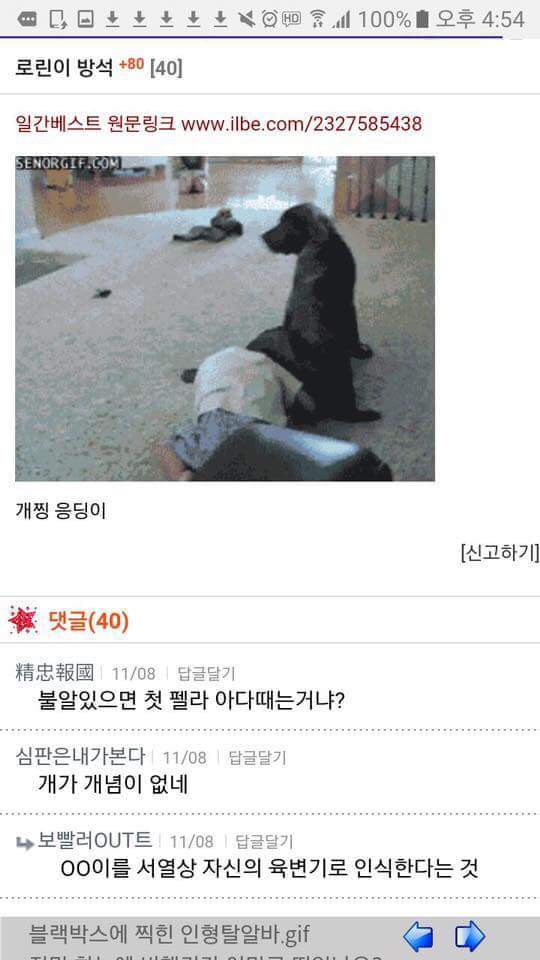텍혐주의) 일베에 로린이를 검색해보았다 | 인스티즈