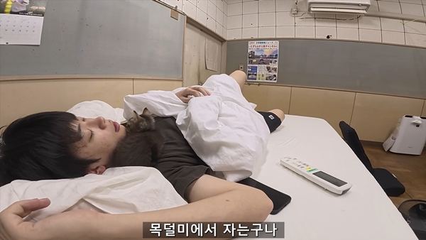 아기 고양이 냥줍했는데 반응 난리난 일본 유튜버.jpg | 인스티즈