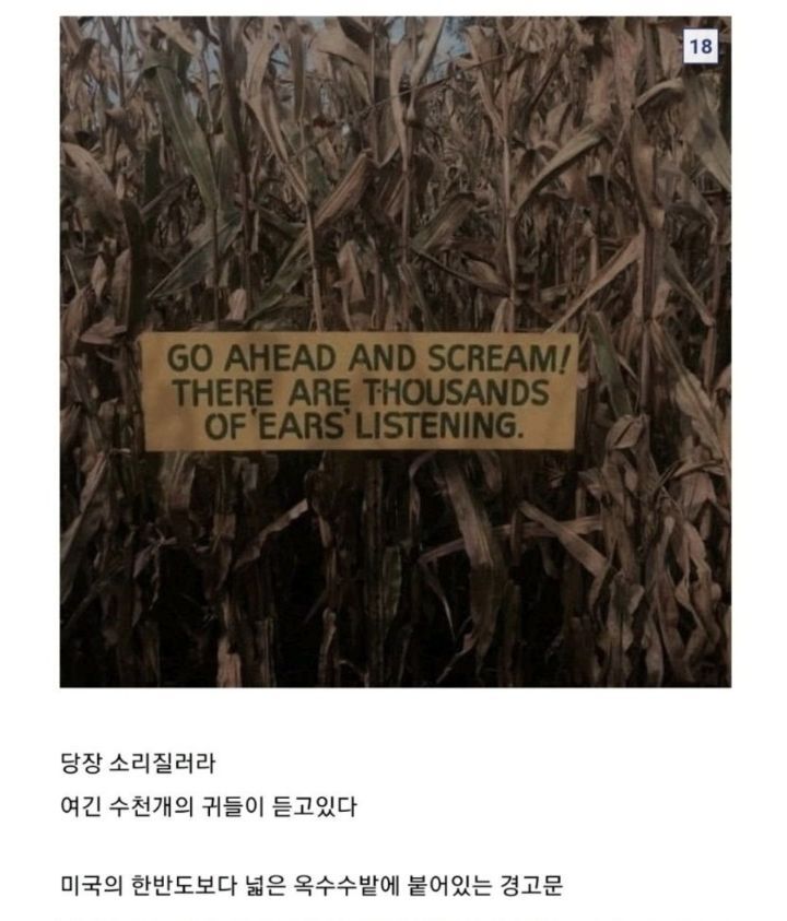 솔직히 귀신이야기보다 이런게 더 무서움.twt | 인스티즈