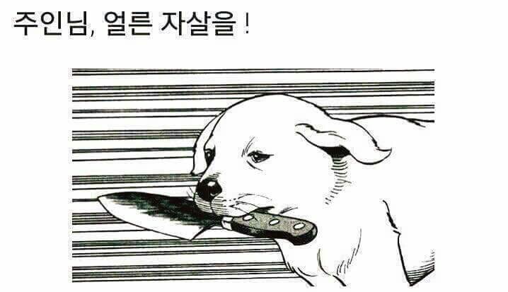 놀리거나 약올릴때 쓰는 짤모음 | 인스티즈