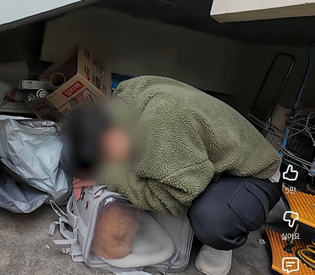 고양이 잃어버렸던 집사가 보자마자 무너진 흔적ㅠ | 인스티즈