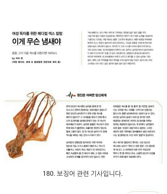생식기에서 냄새나는 여자를 오징어에 비유한 기사를 쓴 맥심 | 인스티즈
