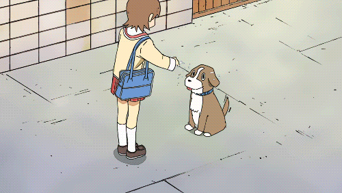 개 일상 힐링 애니 '일상'.gif (多) | 인스티즈