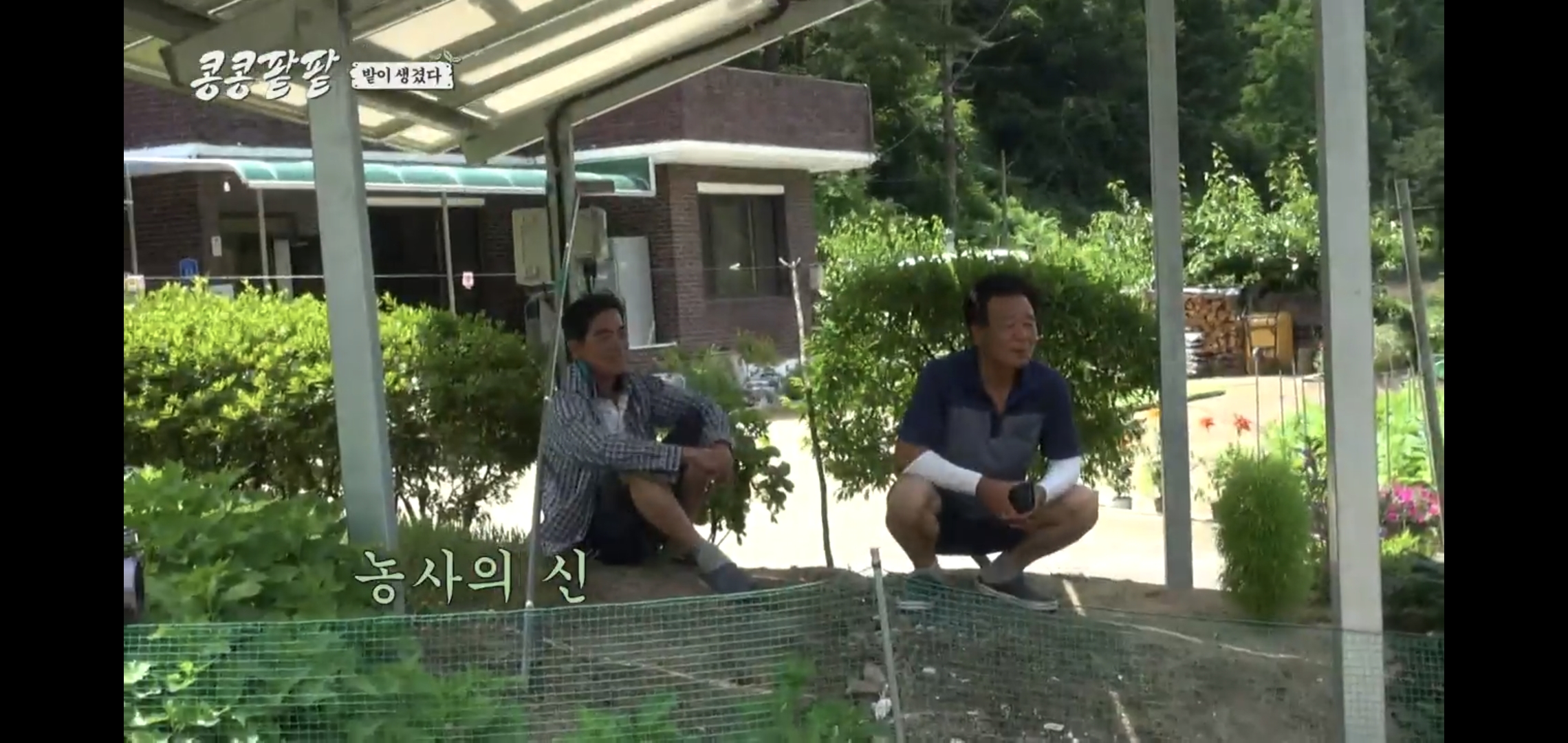 tvN 콩콩팥팥 이 사람 보려고 보는 시청자들도 많을 듯.jpg | 인스티즈