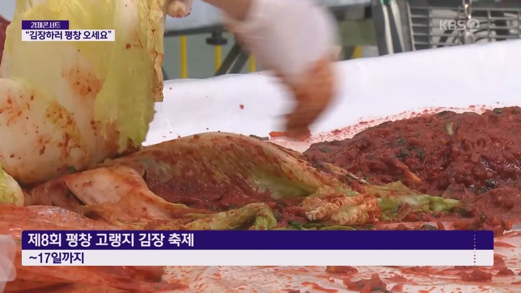 현재 반응 너무 좋다는 평창 김장 축제 | 인스티즈