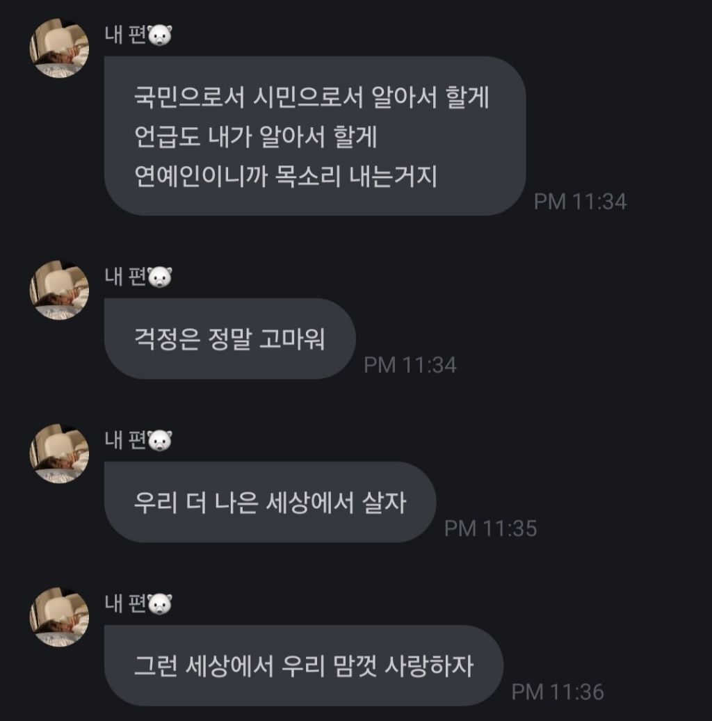 계엄 다음날 바로 "연예인 이니깐 목소리 내는거지" 말하던 이채연 오늘 시위도 참여 | 인스티즈
