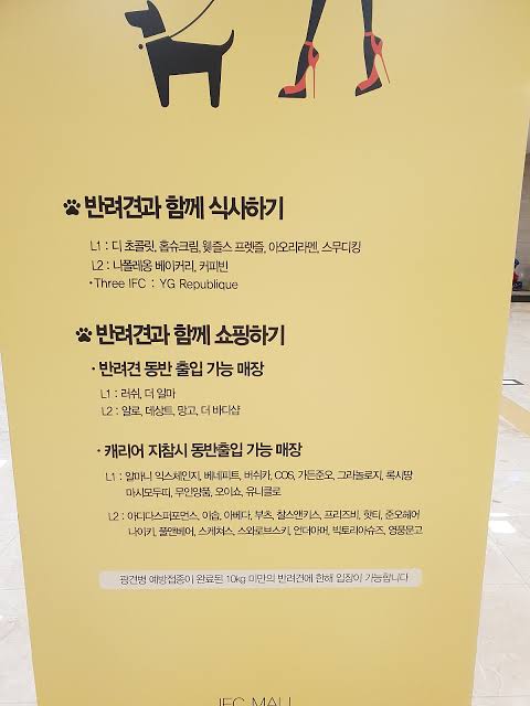 사람들이 개모차 쓰는 진짜 이유 | 인스티즈