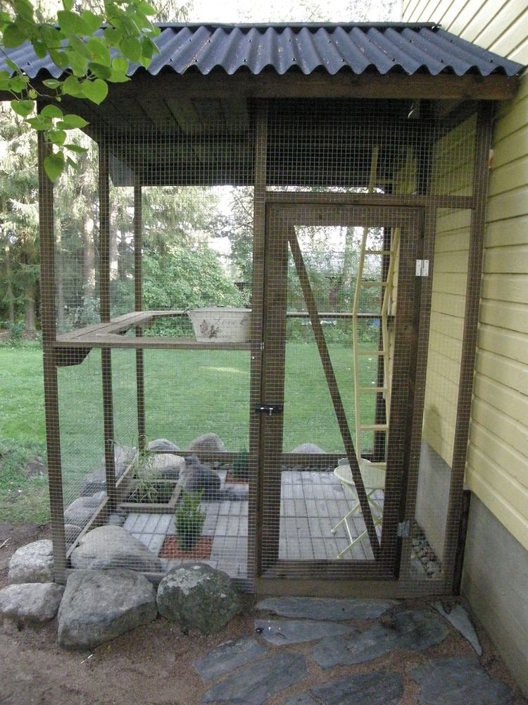 산책 없이 행복한 고양이를 위한 인테리어① - 고양이 정원 | 인스티즈