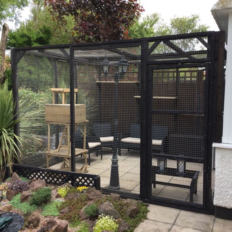 산책 없이 행복한 고양이를 위한 인테리어① - 고양이 정원 | 인스티즈