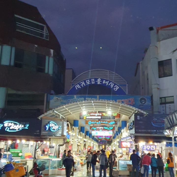 👣3박 4일 제주도 뚜벅이 여행👣 - 1일 차 | 인스티즈