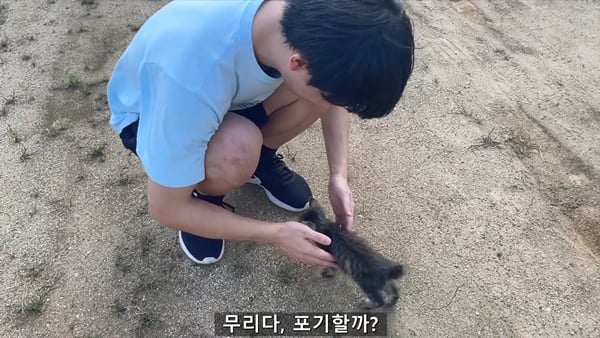 아기 고양이 냥줍했는데 반응 난리난 일본 유튜버.jpg | 인스티즈