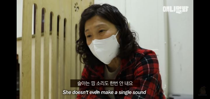 죽을것같은 우울증에 걸린 강아지 | 인스티즈