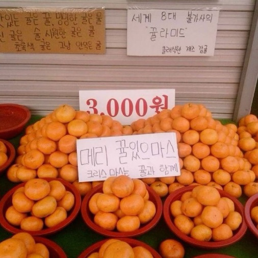 2025년 여자들끼리 절대 실패 없는 연말 카톡선물 낋여봄 | 인스티즈