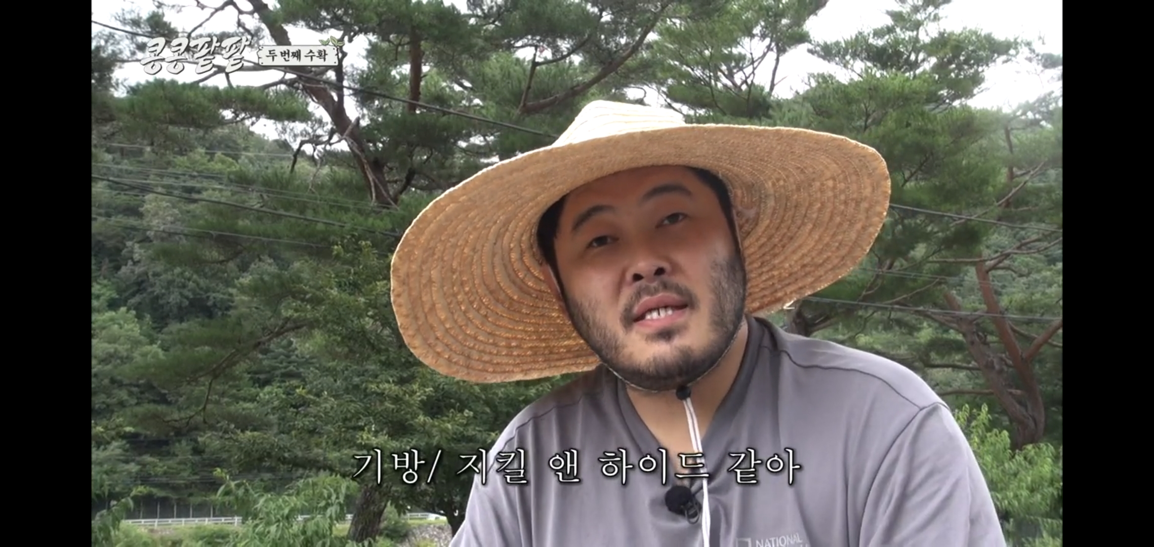 tvN 콩콩팥팥 이 사람 보려고 보는 시청자들도 많을 듯.jpg | 인스티즈