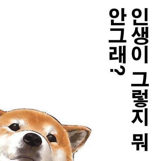 놀리거나 약올릴때 쓰는 짤모음 | 인스티즈