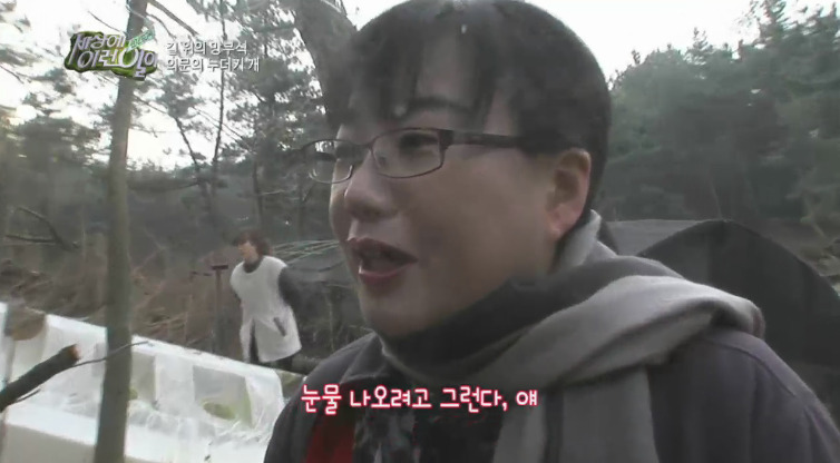 [세상에이런일이] 도로위에 망부석이 되서 주인을 기다리는 강아지.jpg | 인스티즈