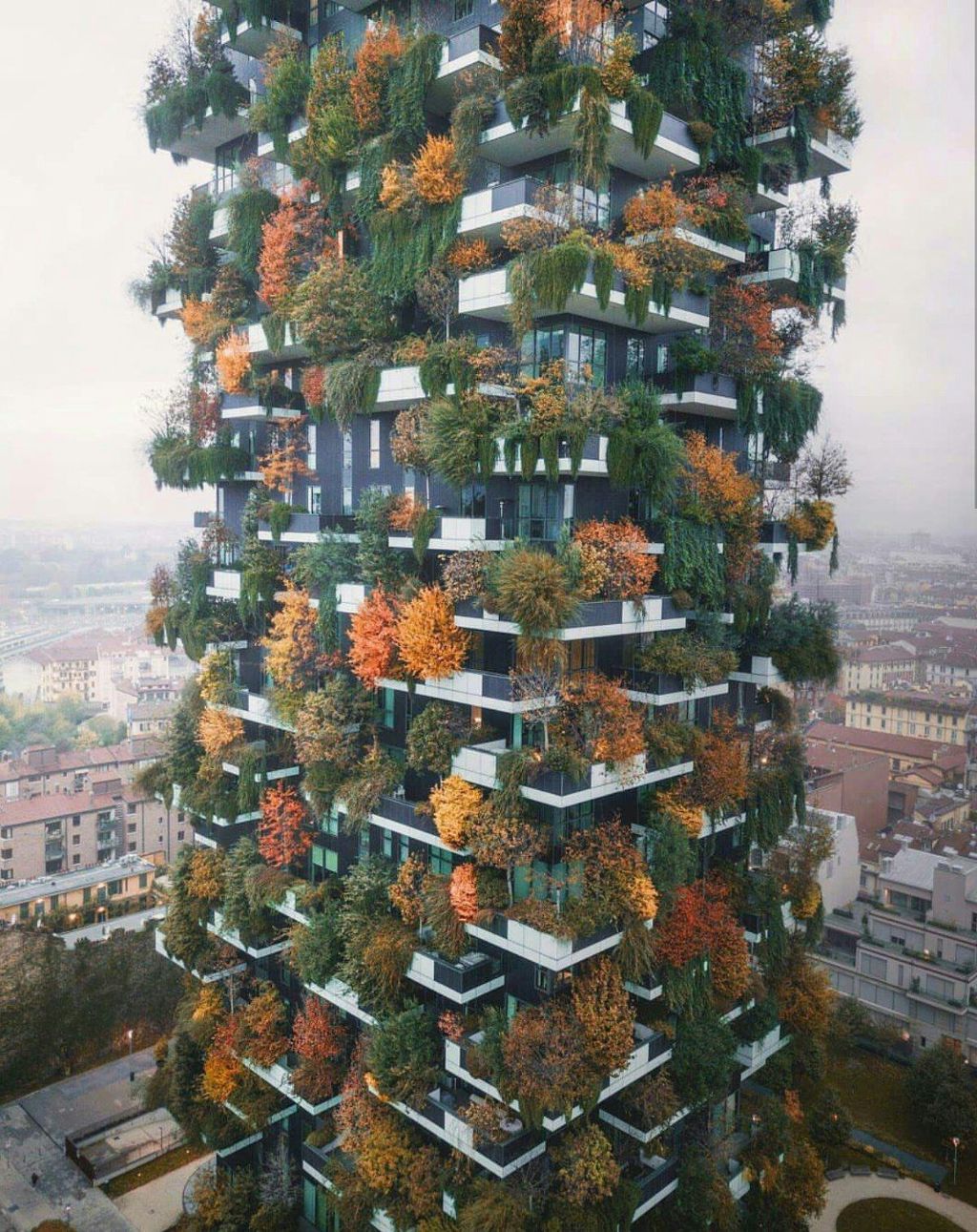 유럽 레알 숲 같이 건축해놓은 아파트들 | 인스티즈