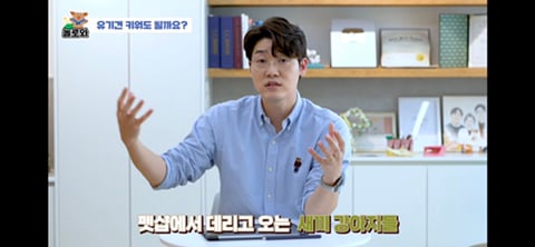 견주 초보일 수록 유기견이 좋은 이유 | 인스티즈