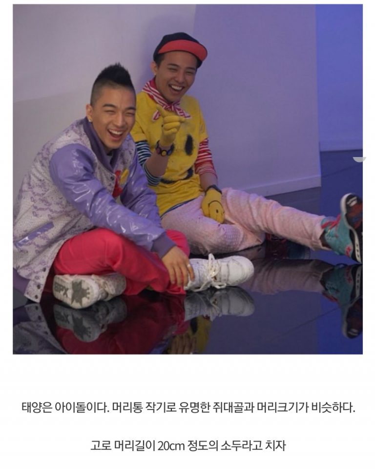 네티즌들이 측정한 태양 실제 키 대참사 | 인스티즈