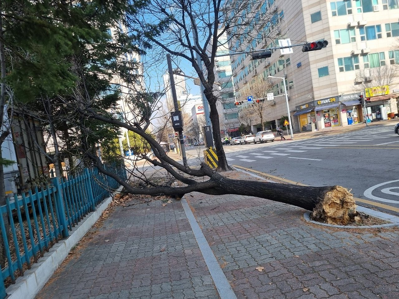 오늘자 강풍의 위력짤 | 인스티즈