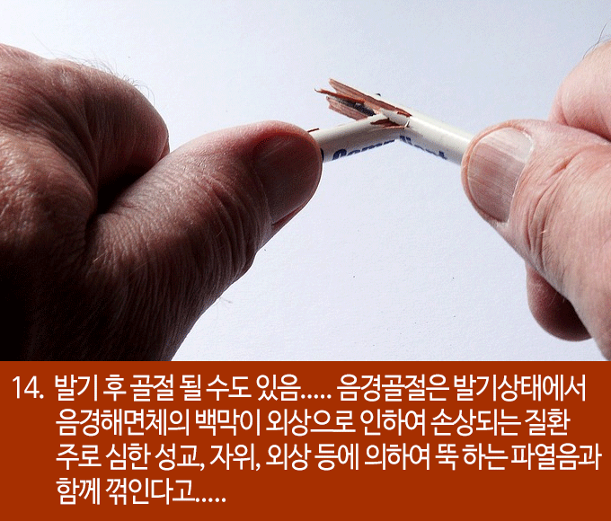 발기에 대한 흥미로운 22가지 사실들 | 인스티즈