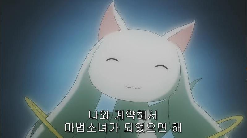 [애니] 고양이 관련 캐릭터 모음.jpg | 인스티즈