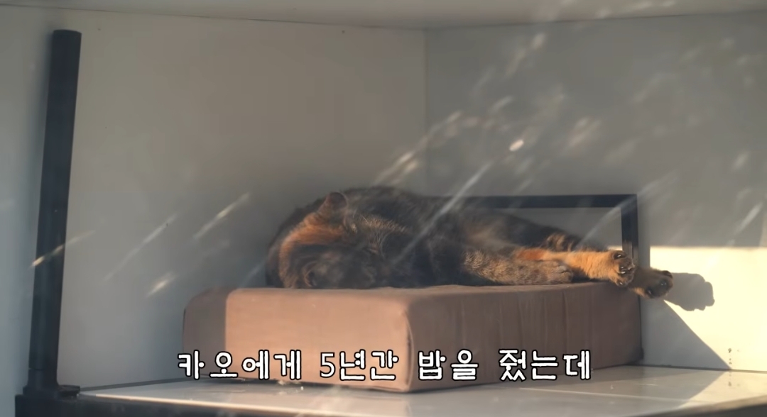 5년만에 haha ha에게 마음을 연 카오 | 인스티즈