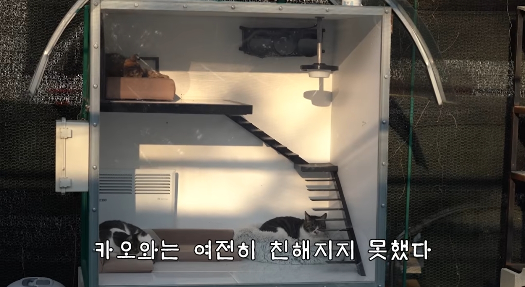 5년만에 haha ha에게 마음을 연 카오 | 인스티즈