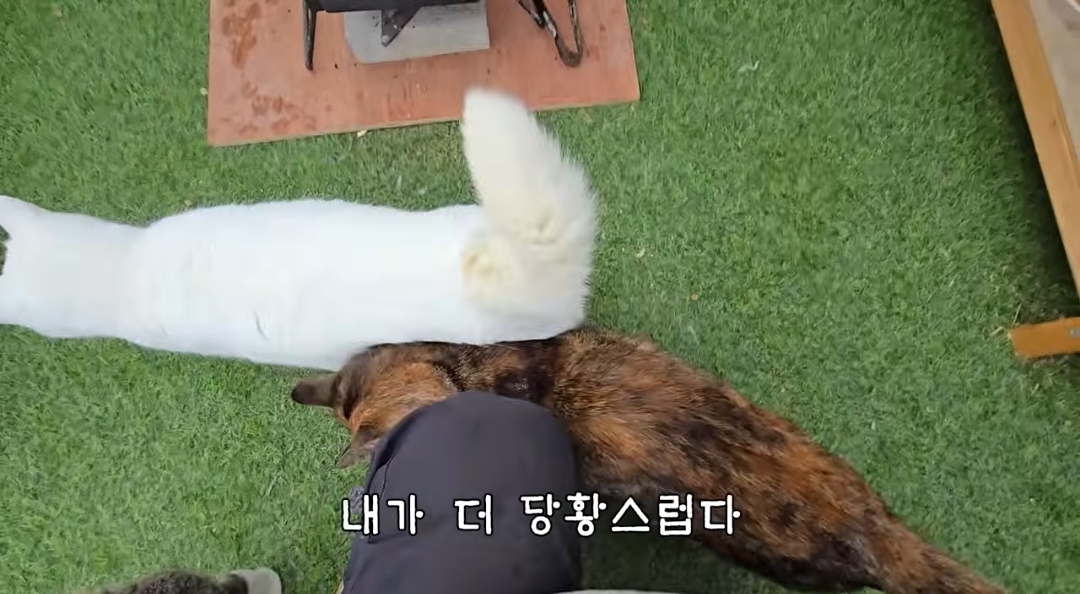 5년만에 haha ha에게 마음을 연 카오 | 인스티즈