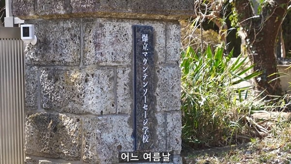 아기 고양이 냥줍했는데 반응 난리난 일본 유튜버.jpg | 인스티즈