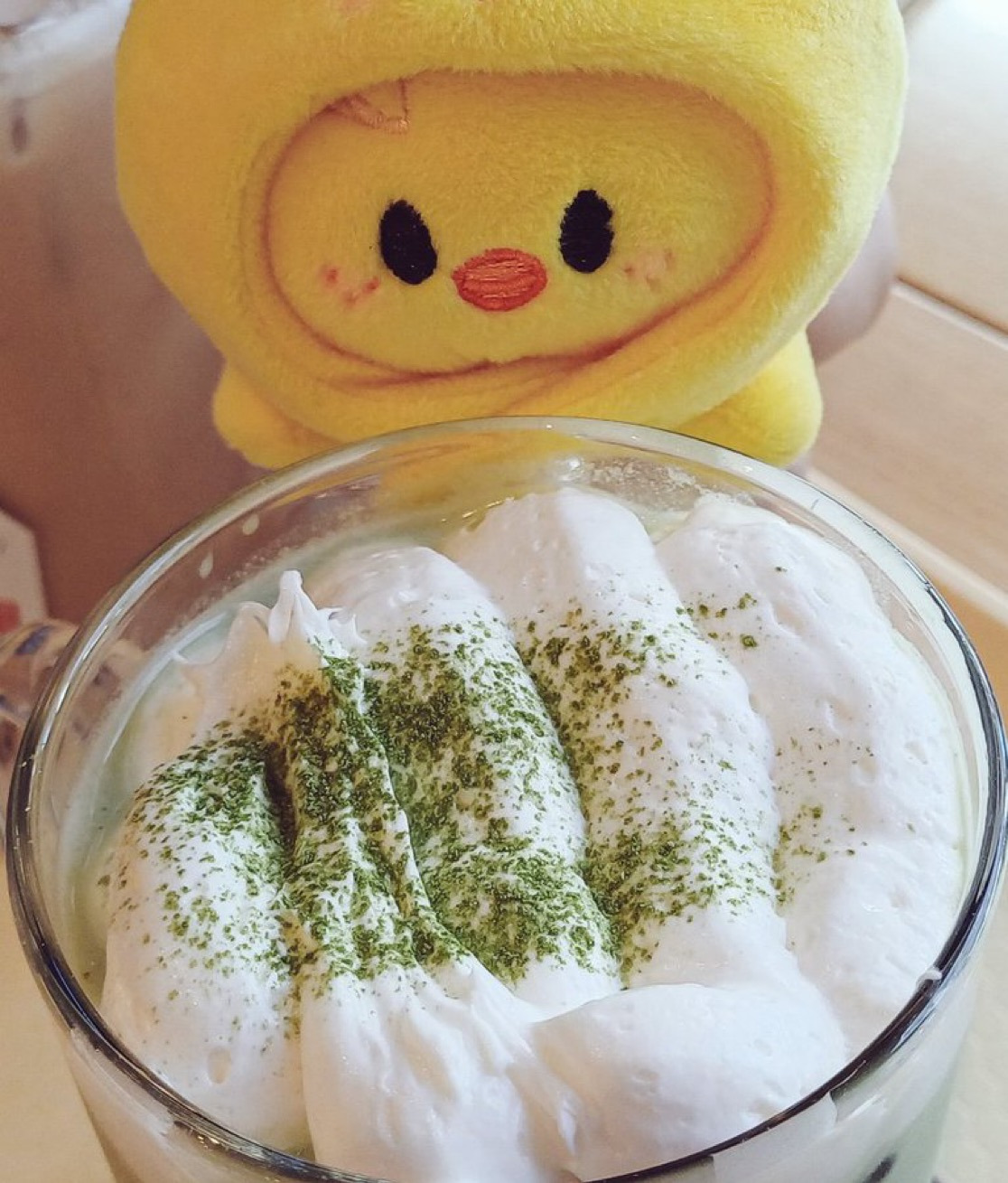 🍵공차 신메뉴 '말차 티라미수 밀크티' 후기 | 인스티즈