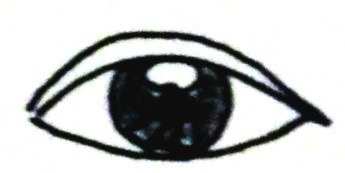 눈 관상 보는법 | 인스티즈