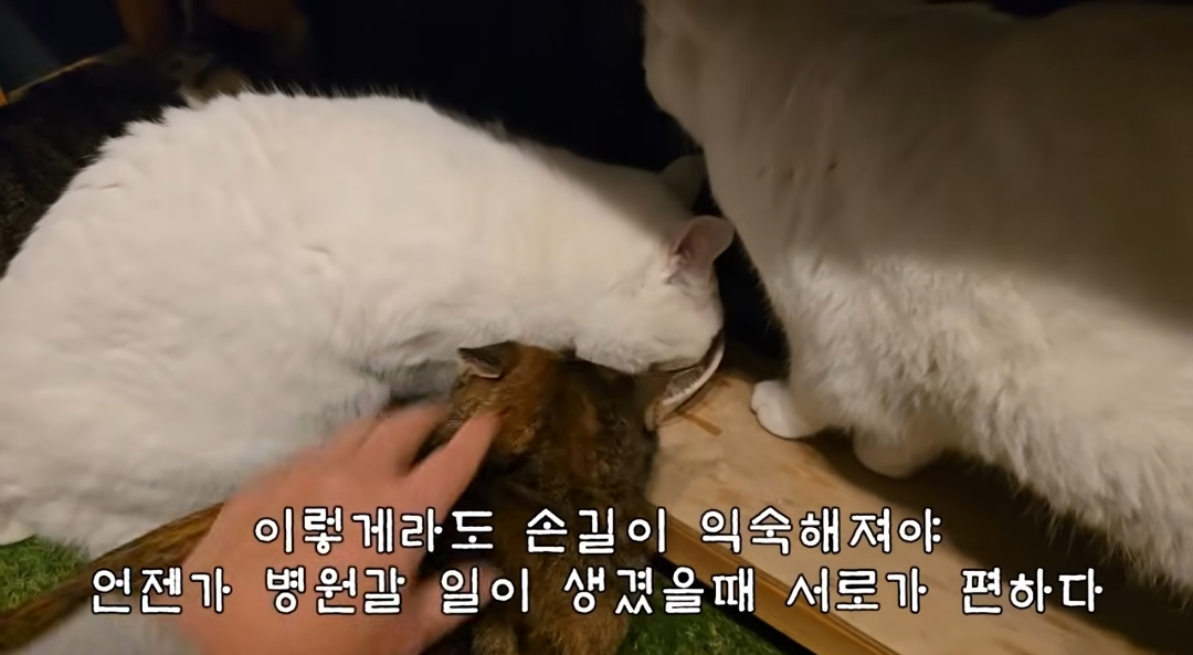 5년만에 haha ha에게 마음을 연 카오 | 인스티즈