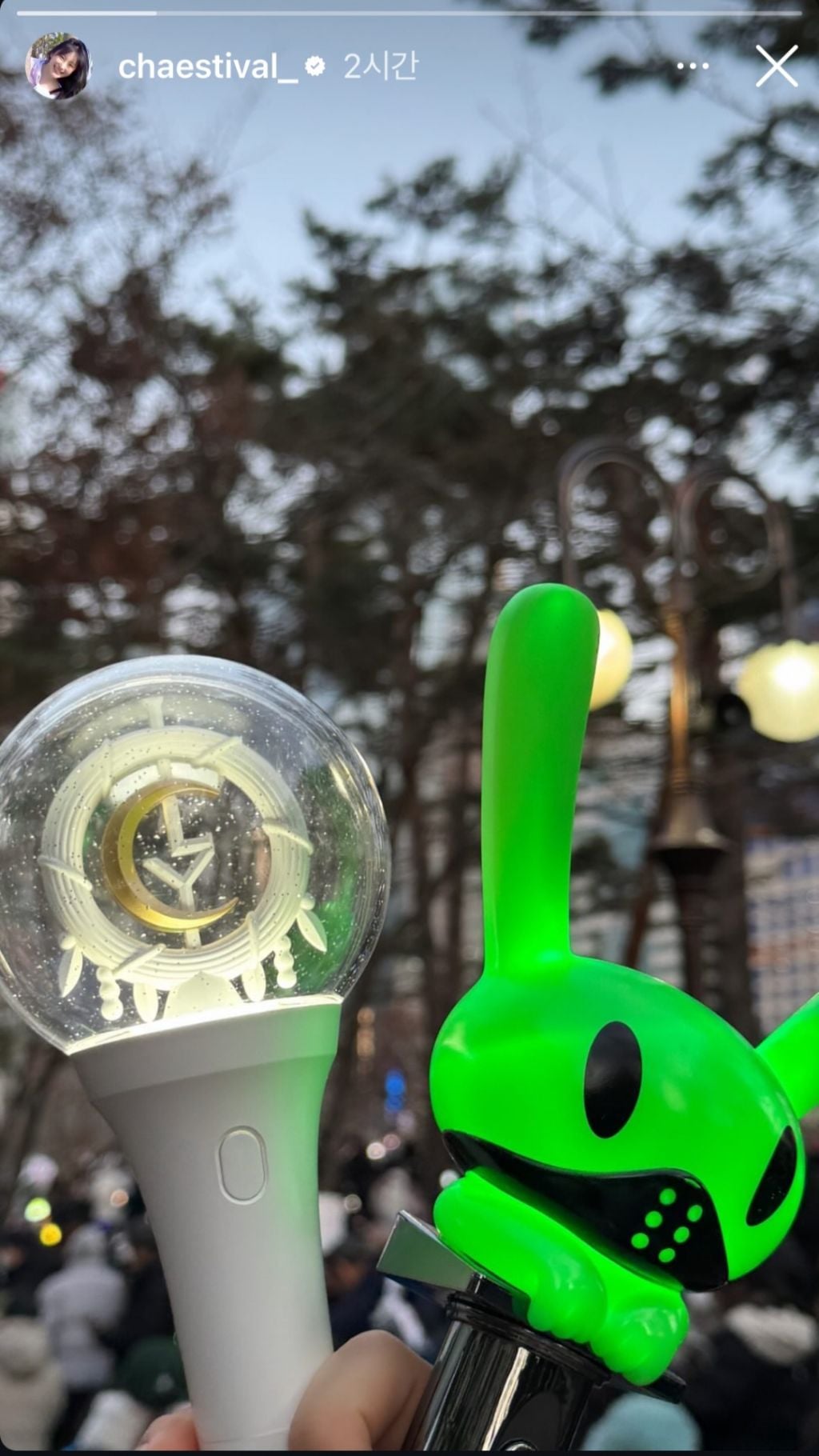 계엄 다음날 바로 "연예인 이니깐 목소리 내는거지" 말하던 이채연 오늘 시위도 참여 | 인스티즈