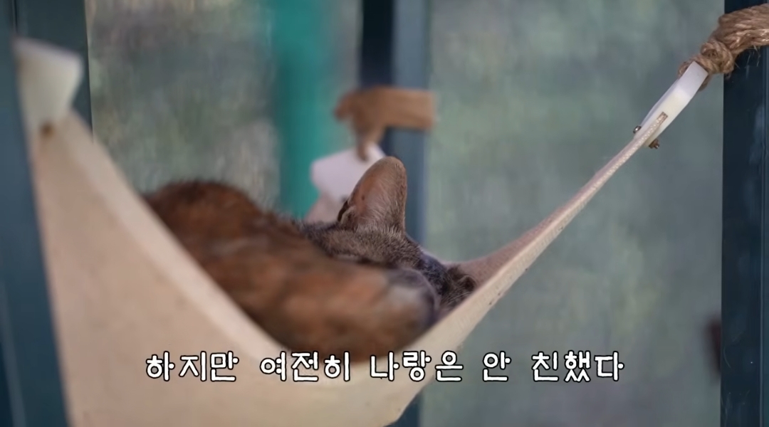 5년만에 haha ha에게 마음을 연 카오 | 인스티즈