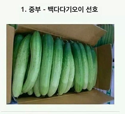 경상도 사람 : 오이로 자위를 어떻게해,,,,? | 인스티즈