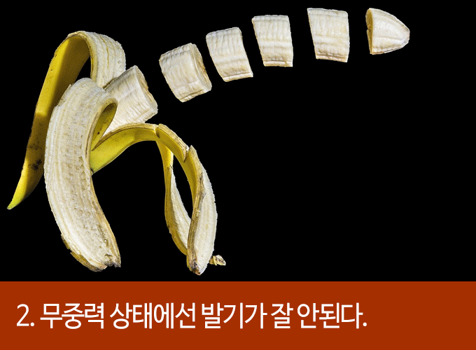 발기에 대한 흥미로운 22가지 사실들 | 인스티즈