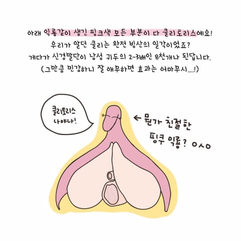 클리토리스로 홍콩가기 - 자위, 애무법 | 인스티즈