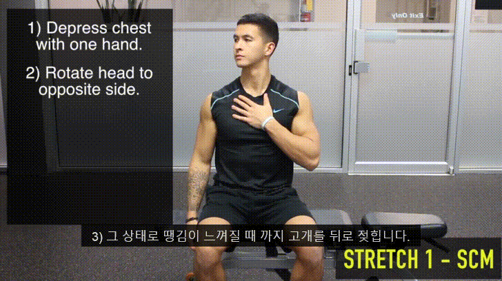 거북목을 고쳐봅시다. 2탄 (0. 거북목과 이중턱 1.턱 운동에 대해 2.턱운동 해보기) - 데이터 스압주의 | 인스티즈