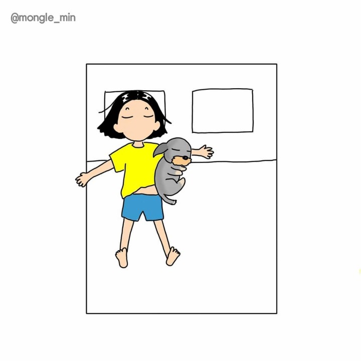 강아지랑 같이 잘 때 공감 | 인스티즈