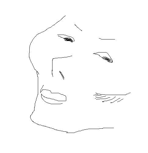 광대있는 여자의 삶.jpg | 인스티즈