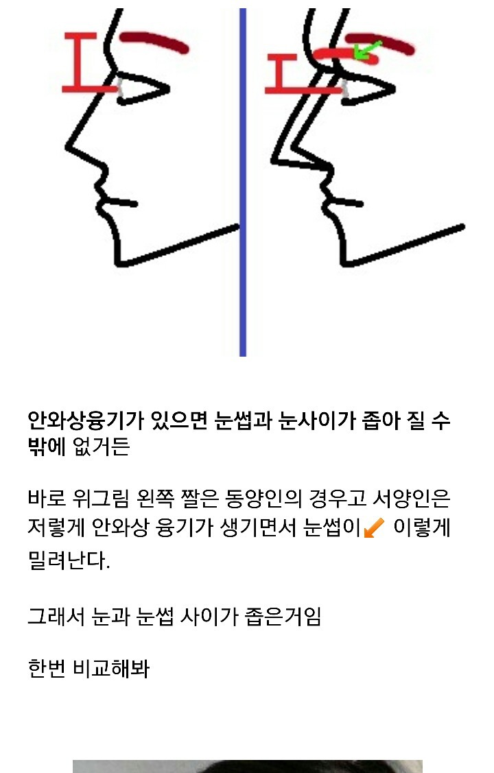 잘생긴 남자의 필요조건 '안와상융기' | 인스티즈