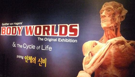 中 '인체의 신비전' 공장서 일했던 조선족 직원의 고백 | 인스티즈