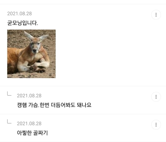 1년 전 죠캎 | 인스티즈