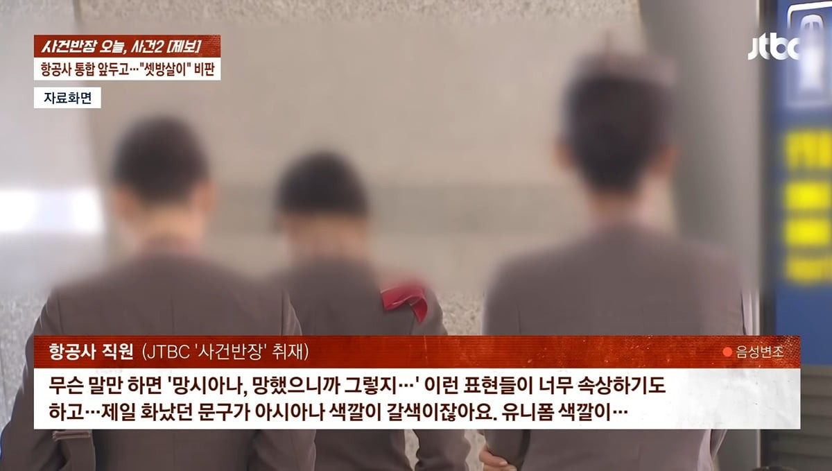 합병하고 서자취급당한다는 아시아나직원들 | 인스티즈