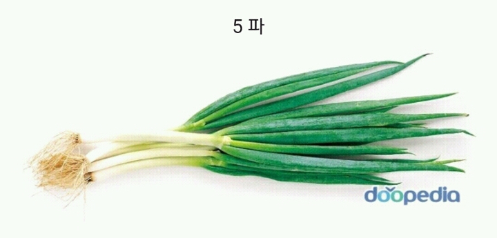 라면에 이것만은 정말 넣기 싫은것은? | 인스티즈