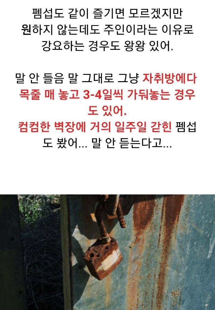 bdsm에 발도 들여서는 안되는 이유 | 인스티즈