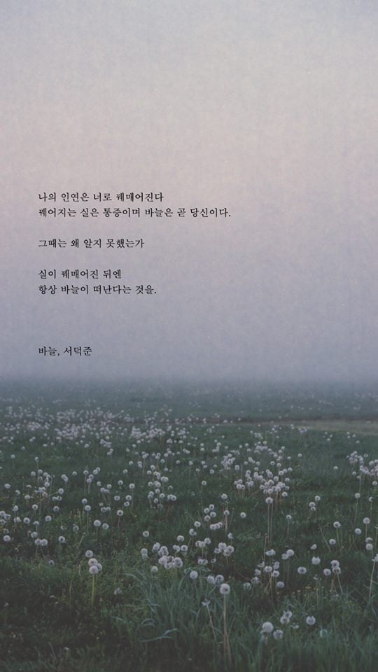 예쁜 시 구절이 적힌 폰배경화면 열네 번째.jpg | 인스티즈