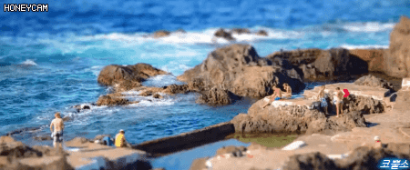 윤식당2 카메라촬영수준 | 인스티즈